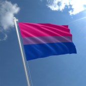 bi-pride-flag-std