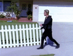 TinyThinBlacklab-max-1mb