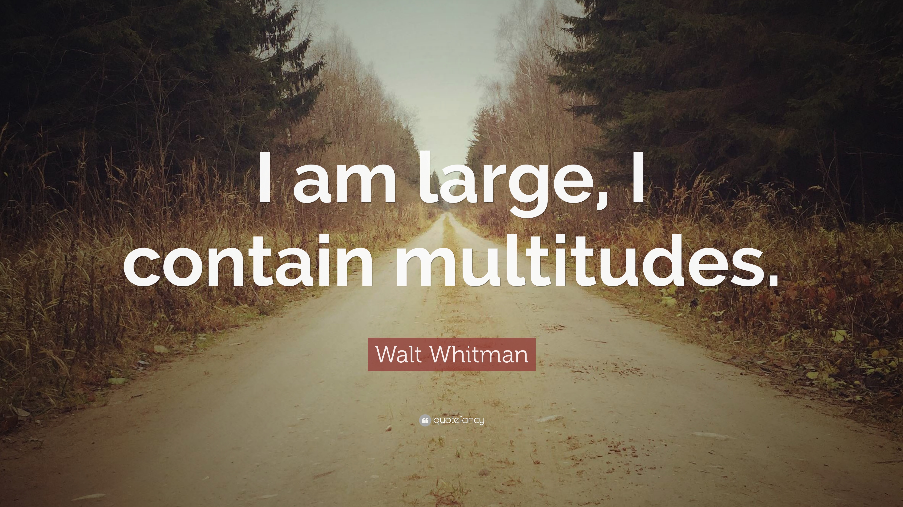1786126-Walt-Whitman-Quote-I-am-large-I-contain-multitudes